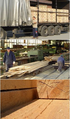 Tartak Przemy�l - Fotogaleria